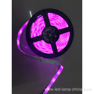 5050SMD 24V Pink Led Strip light